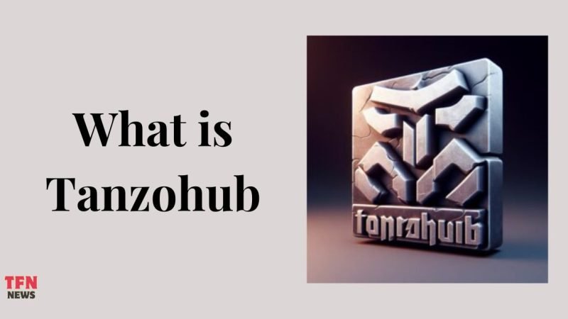 Exploring Tanzohub: A Comprehensive Guide to Its Features and Benefits
